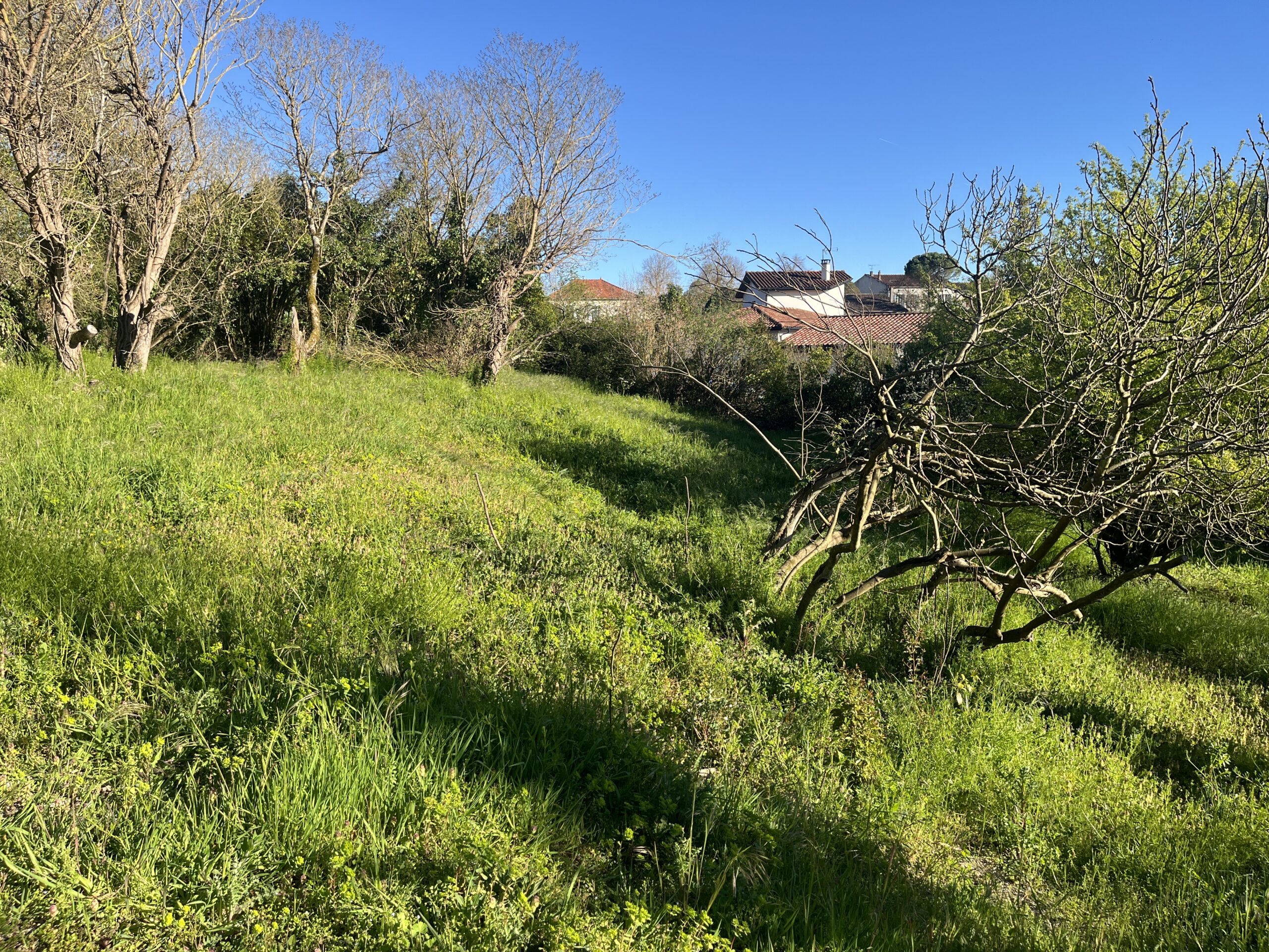 Terrain à bâtir – Mauvezin Centre